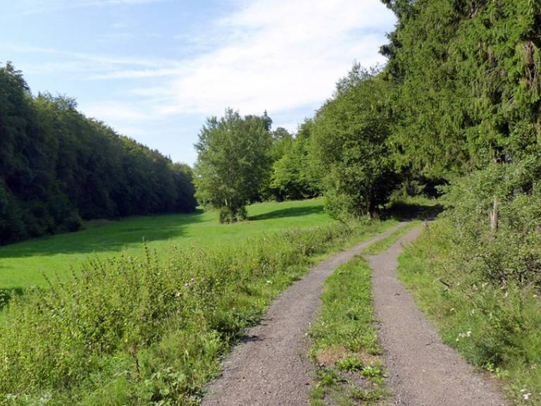 foto25