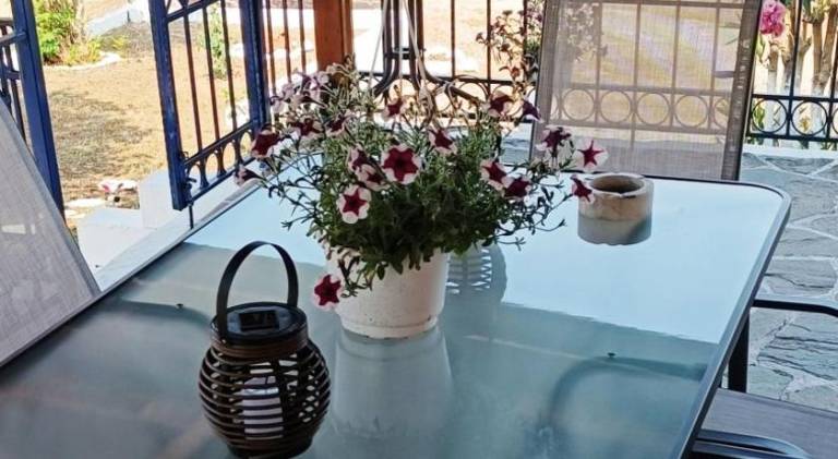Villa | Next to the beach | Pet-friendly — photo 3