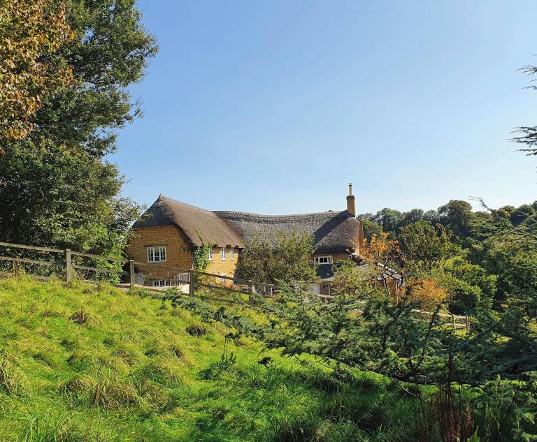 Cottage Beaminster
