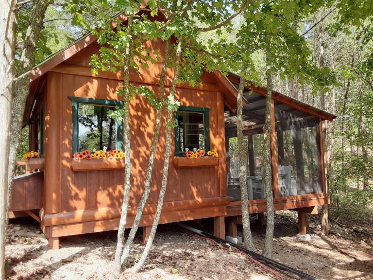 Cabin Branson