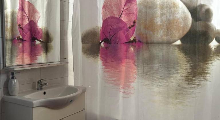 Beautiful rental apartment | Pets are welcome — photo 2