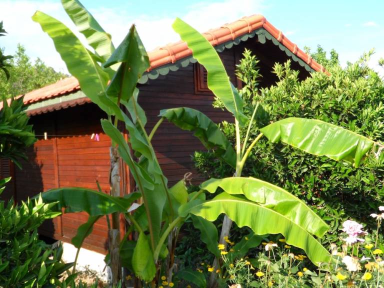 Pension Ulupınar Mahallesi