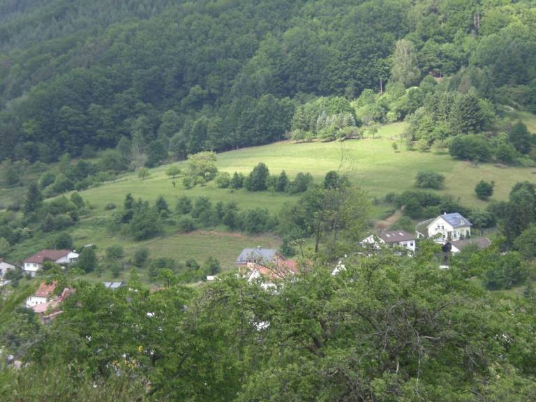 foto24