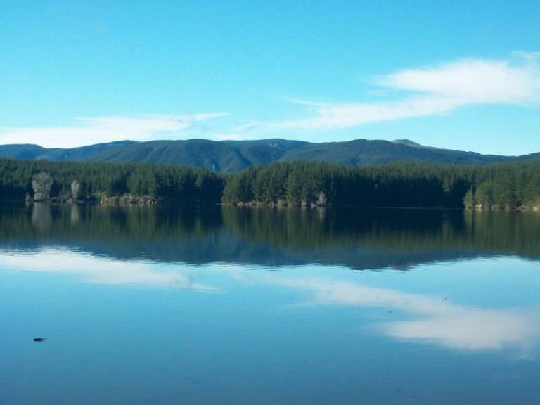 Lake Maraetai Lodge — photo 3