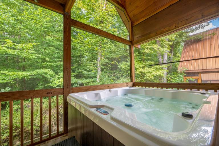 House Gatlinburg