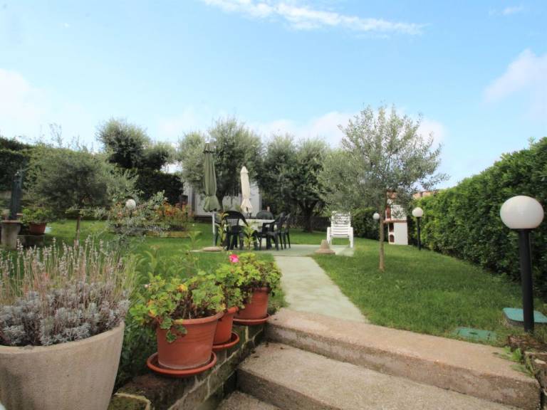 foto19