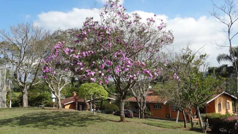 Casa  Mairiporã