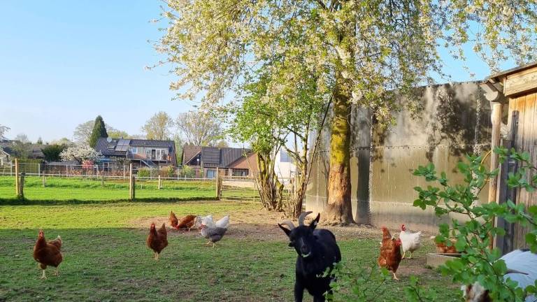 Ferienwohnung Greven