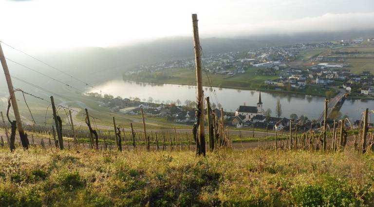 80 m&sup2; Privatzimmer