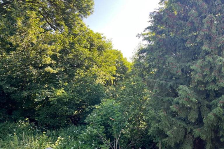 foto18