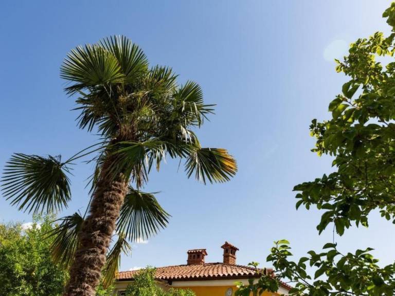 Ferienwohnung  Lucija