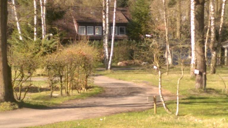 foto17
