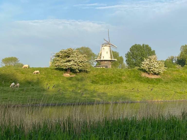 foto19