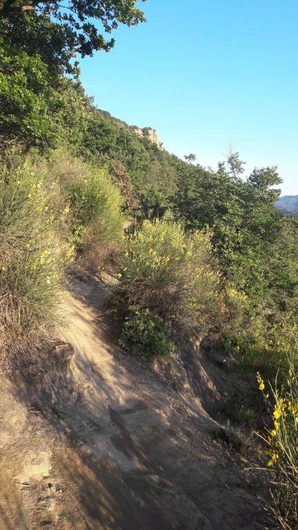 foto6