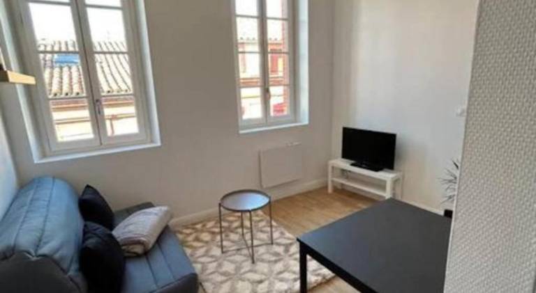 Holiday apartment | Next to Capitole de Toulouse — photo 2
