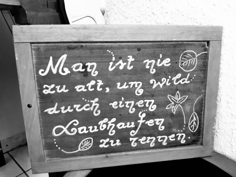 foto16