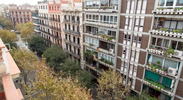 Holiday apartment | Close to Casa Batlló | Pets are welcome — photo 5