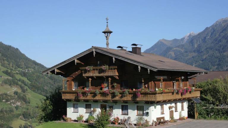 foto1