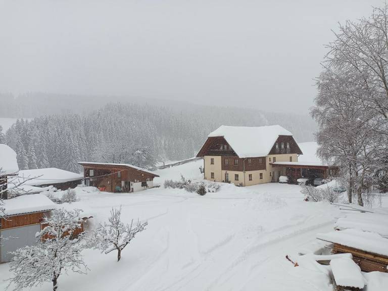 Bauernhof  Lambach