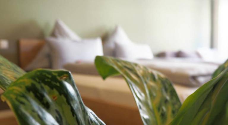 Hotel Altschwabing