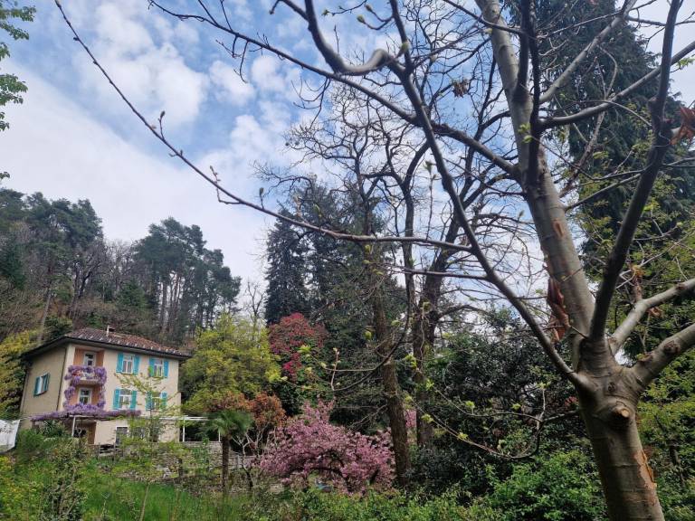Ferienhaus  Locarno