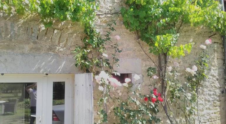 Gite le tilleul de la Fontaine — photo 5