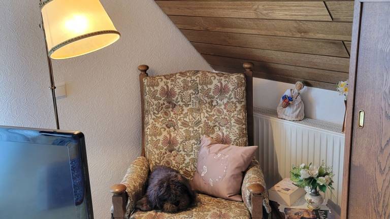foto12