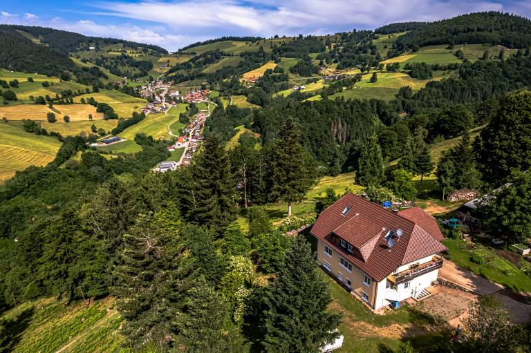 Ferienwohnung  Todtnauberg