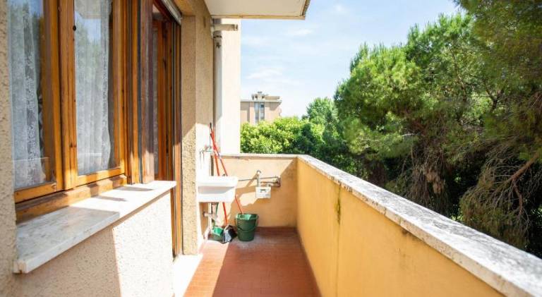 Wonderful holiday apartment | Pets are welcome — photo 5