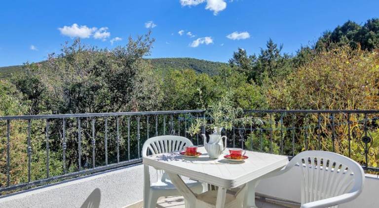 Rental apartment with 2 rooms for 7 persons in Jelsa
