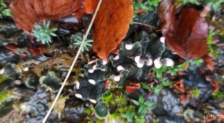 foto14