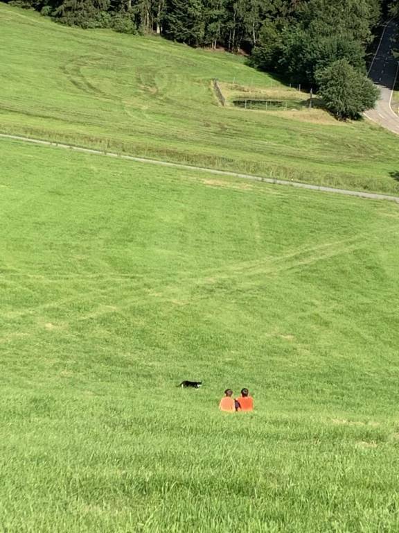 foto2