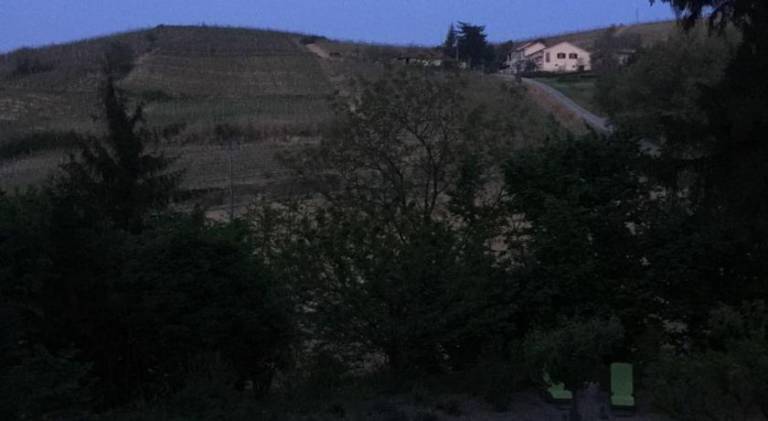 foto44