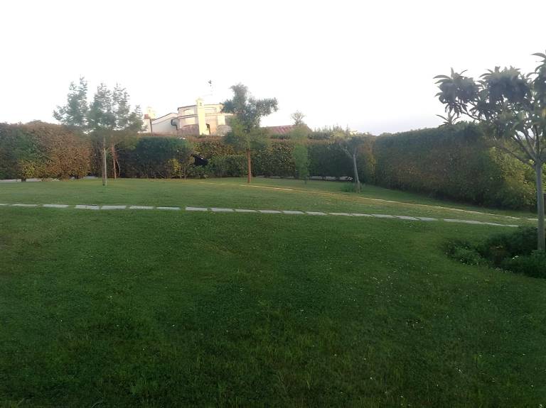 foto22