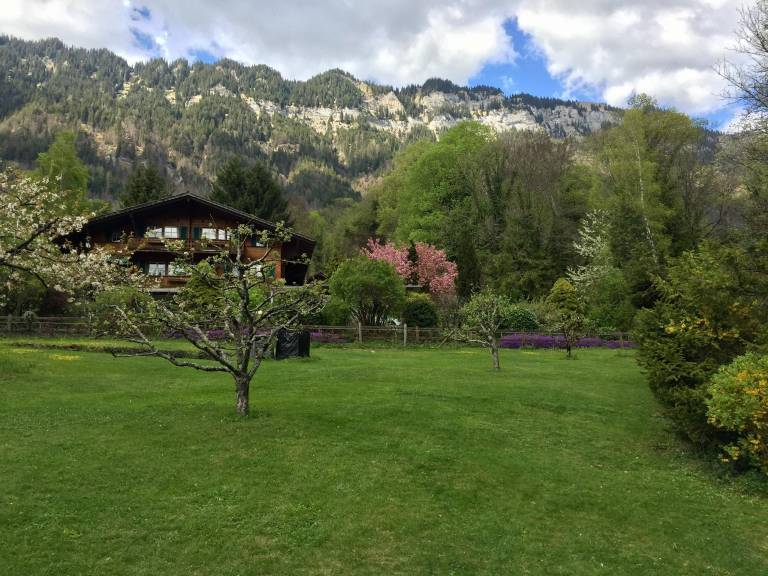 foto15