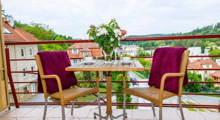 Apartmany Sonata Luhacovice — photo 3