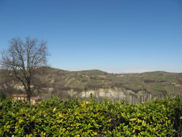 foto1