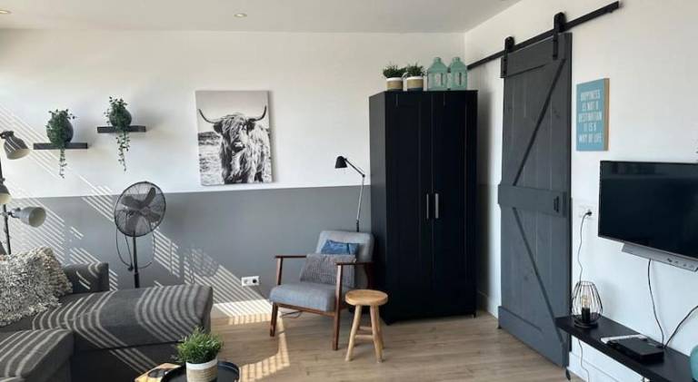 Charming holiday apartment | Pets are welcome in Zandvoort