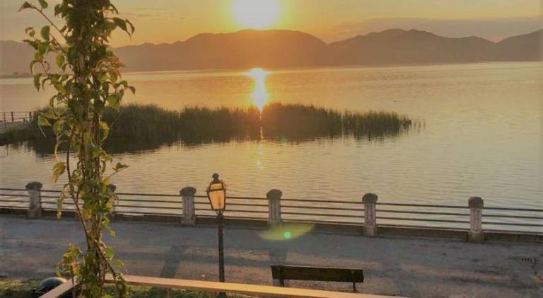 Rental apartment | Pet-friendly in Viareggio