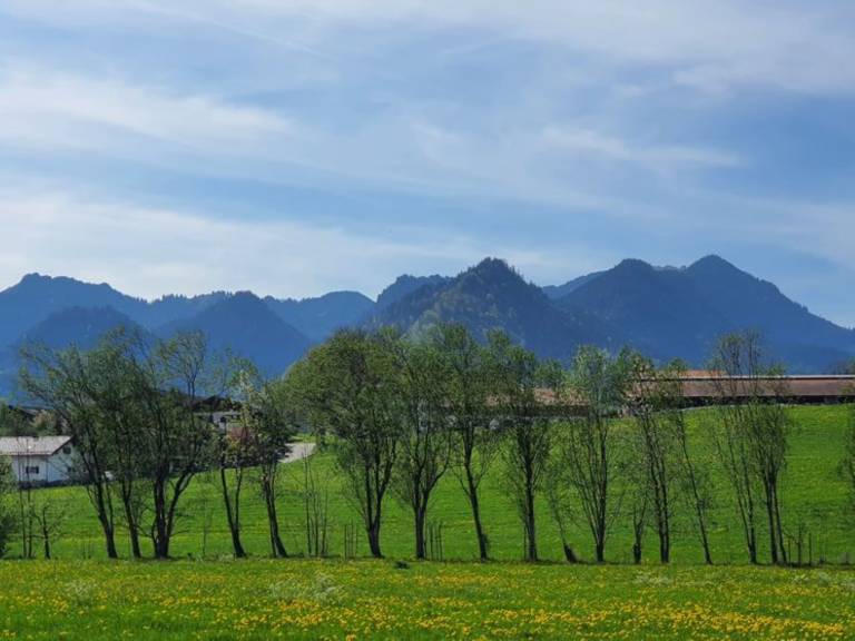 foto12