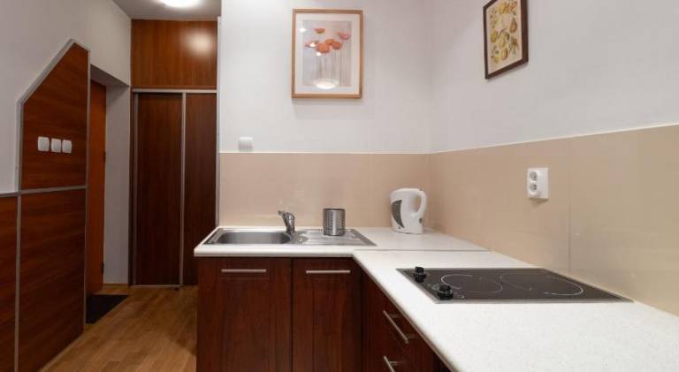 Holiday apartment with 1 room for 4 persons — photo 3