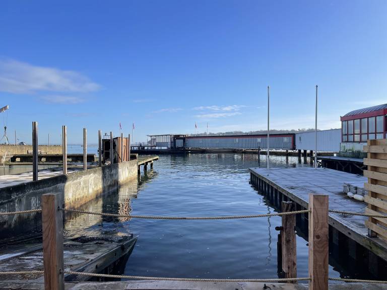 House Cowes