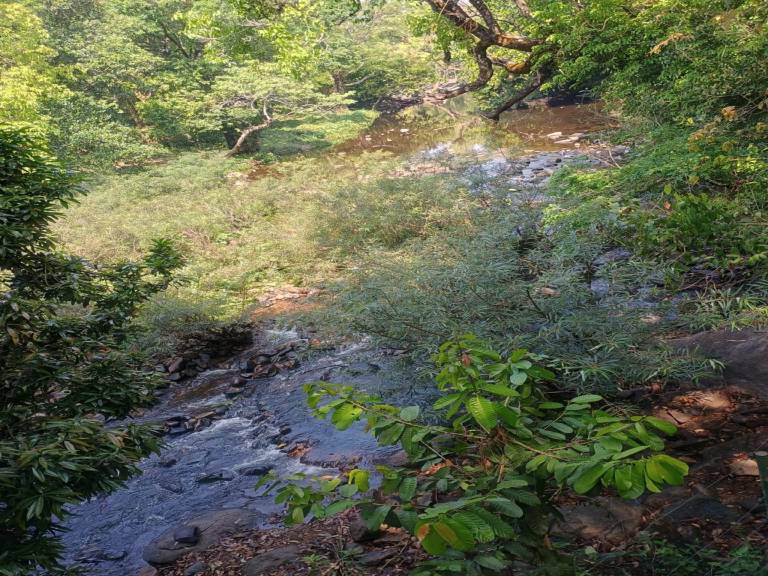 foto44