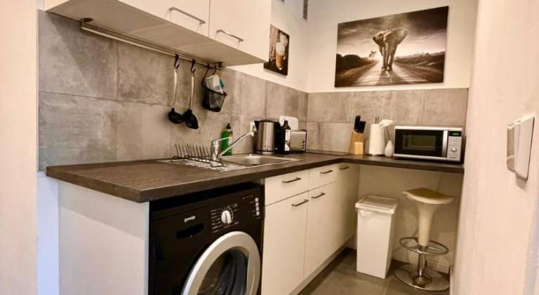Apartment with 1 room for 4 persons — photo 3