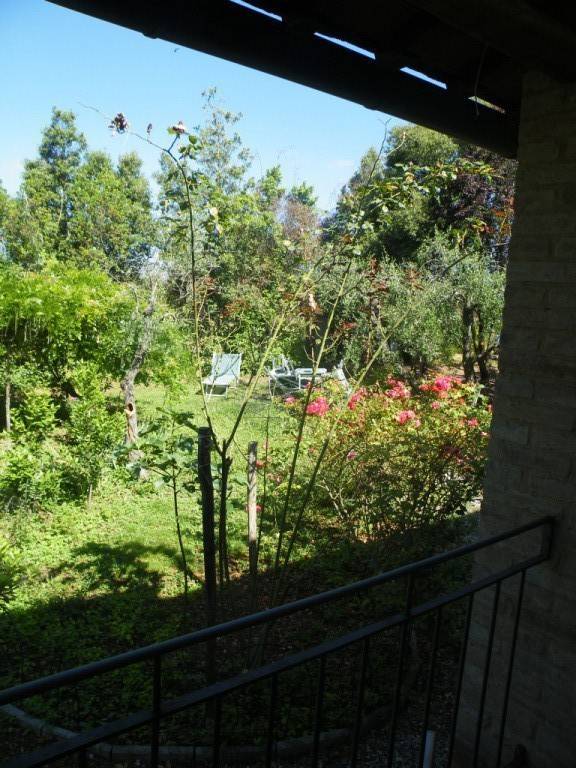 foto8