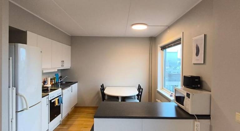 Apartment | Close to Storting building | Dogs allowed in Oslo