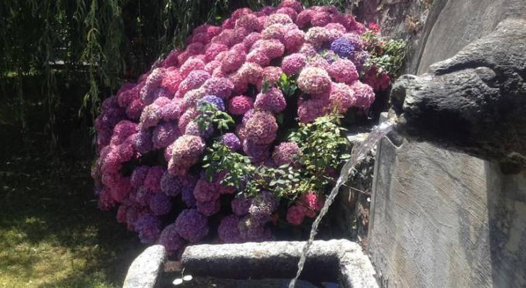 foto41