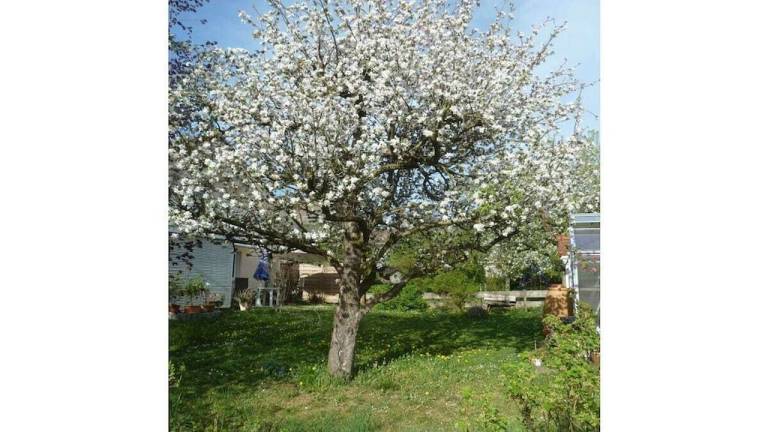 foto7