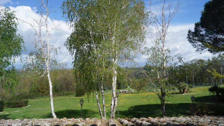 Privatzimmer Montespertoli