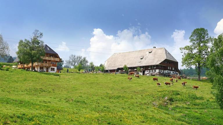 Ferienwohnung Hinterzarten